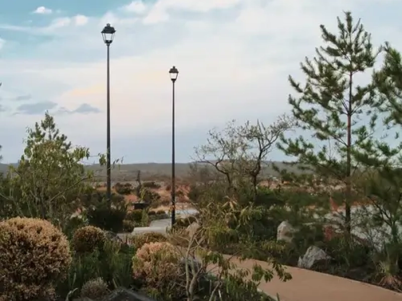 Campiña Francesa 11