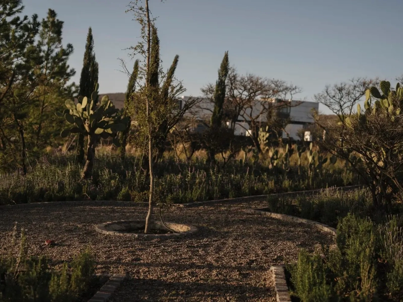 Campiña Francesa 5