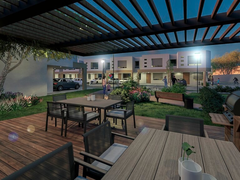 Roble San Pablo – 1